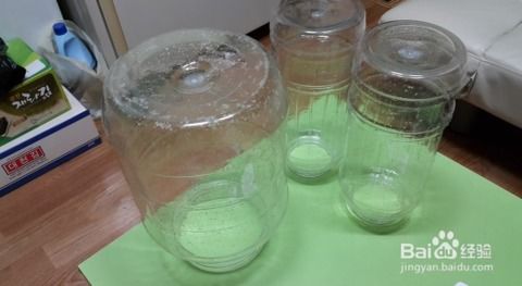 葡萄酒酿造工艺全解析 从葡萄到美酒的完美蜕变